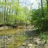 Stream crossing the trail.