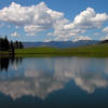 Trout Lake in Yellowstone National Park. with permission from Ralph Maughan