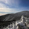 View of the Moosilauke summit from along the trail.