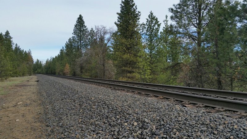 Train tracks.