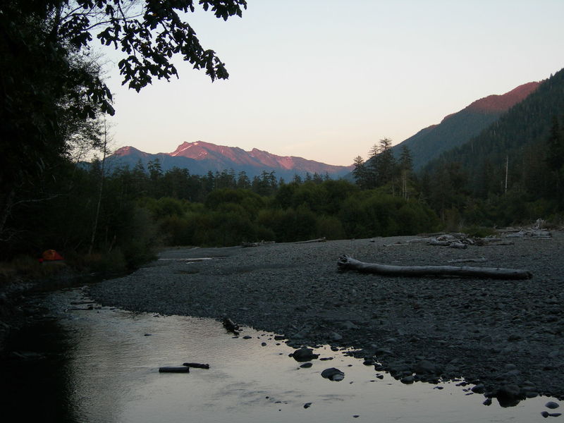 Along the Hoh River, Olympic NP.