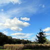 Blue sky day at the Annie Wilkerson Nature Preserve.