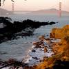 The Golden Gate Bridge is on display from the Coastal Trail.