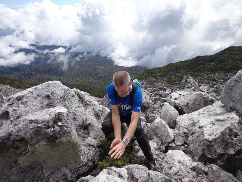 A Norwegian mountain runner enjoying the wild berries at the boulders