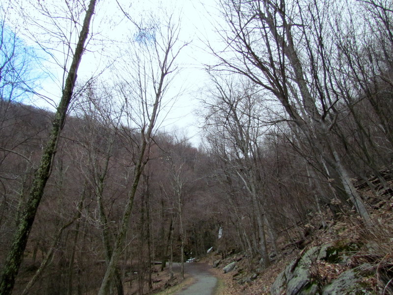 Dark Hollow Falls Trail.