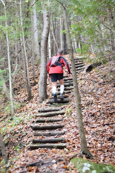Climbing the log steps in the Boundary Bridge - Sharps Creek section.
