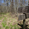 Junction of the Long Hungry Ridge Trail and Gregory Bald Trail. with permission from Mike Lerch
