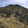 Great desert topography with saguaros among the hillside vegetation.