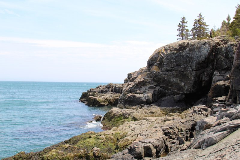 Acadia rocks by coast