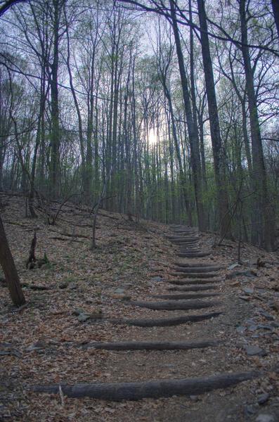 Mount Misery Trail Map Trail On Mt. Misery, Valley Forge.