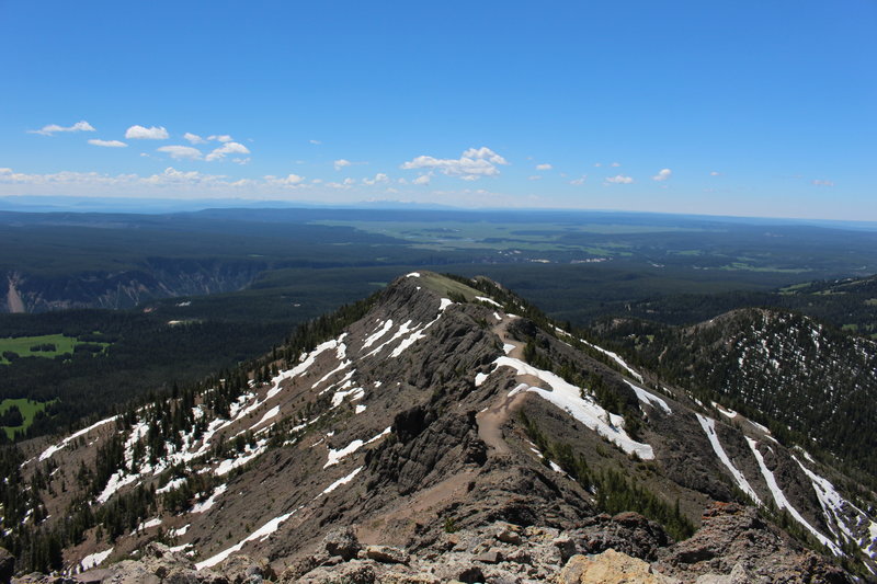 The Mount Washburn Trail from the top of Mount Washburn.