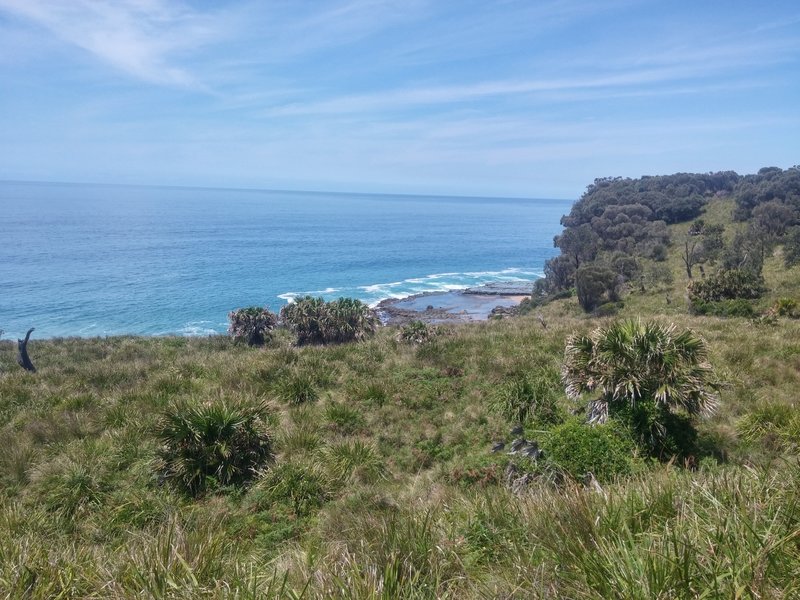 Looking out over the ocean from the Coast Track.