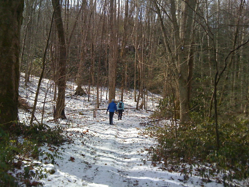 Hiking along Goshen Prong Trail after a light snow.