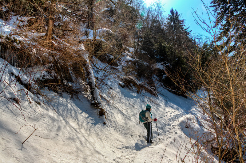 A snowy day on Bull Head Trail.