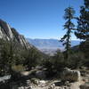 Great views accompany the trail split!
