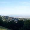 Views of the San Francisco Bay can be seen from the saddle where the Live Oak Trail meets up with the Ridgeview Trail.