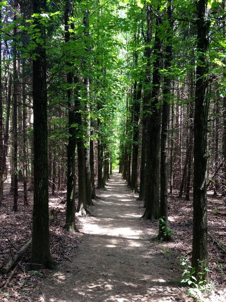 Oak Hill Hiking Trails Oak Hill Trail Hiking Trail, Peninsula, Ohio