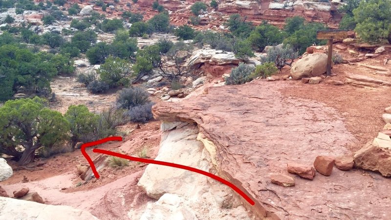 View of the trail and drawn arrow directing the route at the fork in the trails at the 1 mile mark.