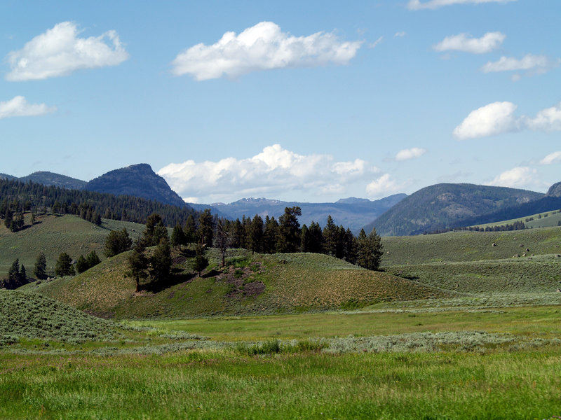 The open valley near the Stagecoach Road Trail.