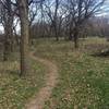 Great singletrack through at Whiterock Conservancy around the campground.