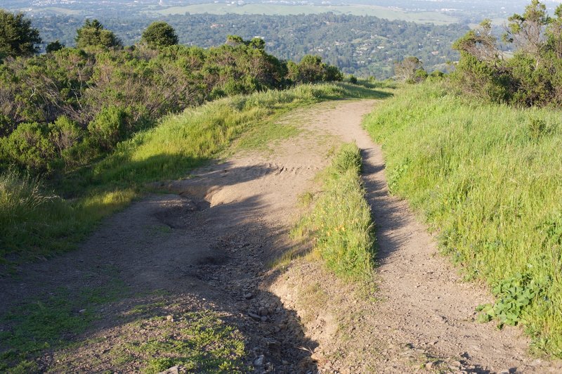 The trail is rough in areas due to wash out or being torn up by mountain bikers or horseback riders.