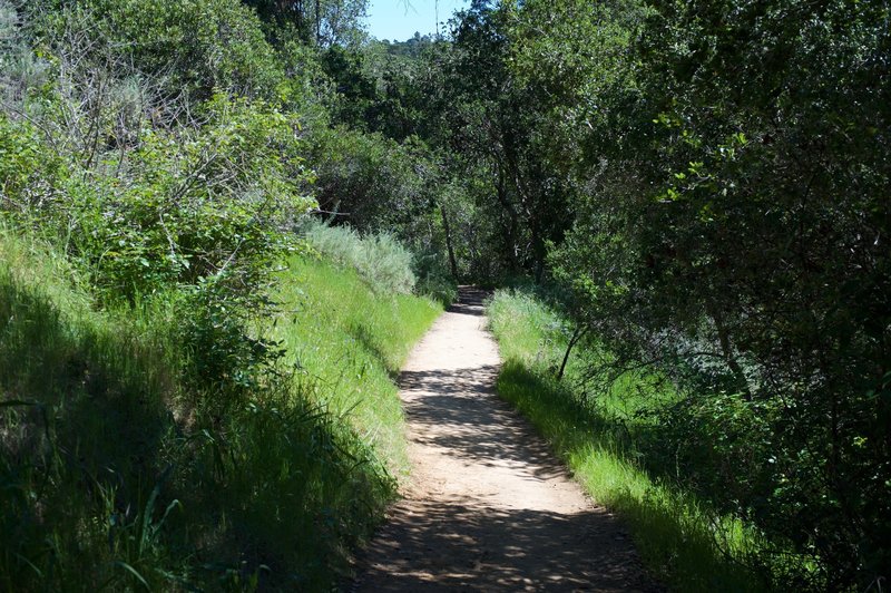 The trail descends toward the education center at the end of the trail.