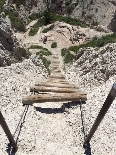 Looking down the wooden Ladder on Notch Trail
