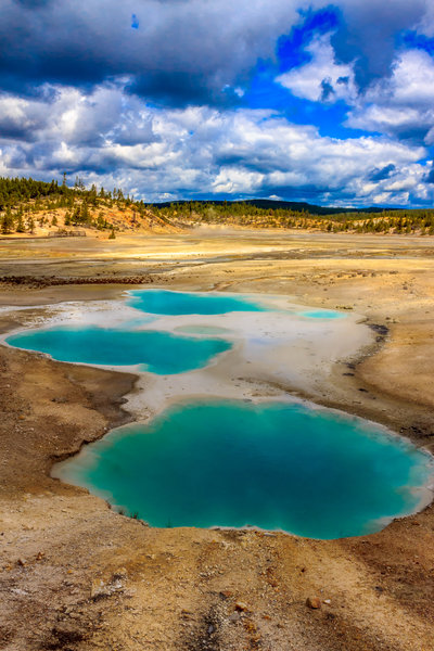 A colorful day in the Norris Geyser Basin.
