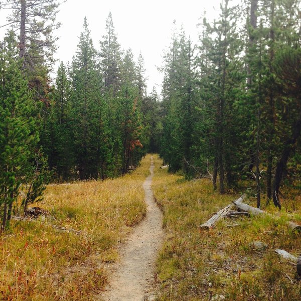 The beautiful Shoshone Lake Trail leads away into the distance.