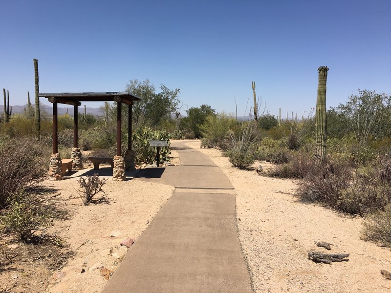 Desert Discovery Nature Trail Hiking Trail, Picture Rocks, Arizona