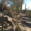Potential for rattlesnakes exists along the trail.