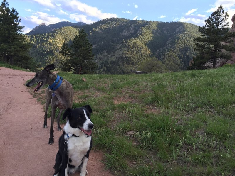 Camo and Thomas enjoy a quick easy hike on Red Rocks Trail in Boulder, CO.