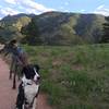 Camo and Thomas enjoy a quick easy hike on Red Rocks Trail in Boulder, CO.