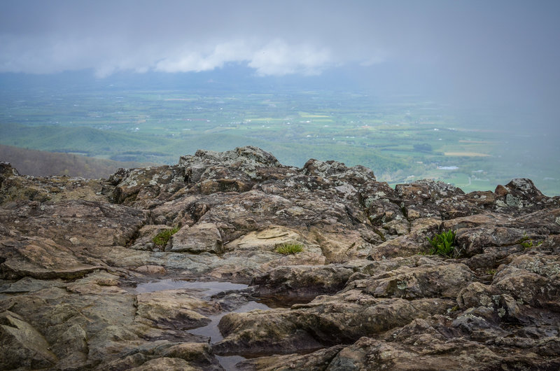Pass Mountain Hut Access Road Hiking Trail, Luray, Virginia