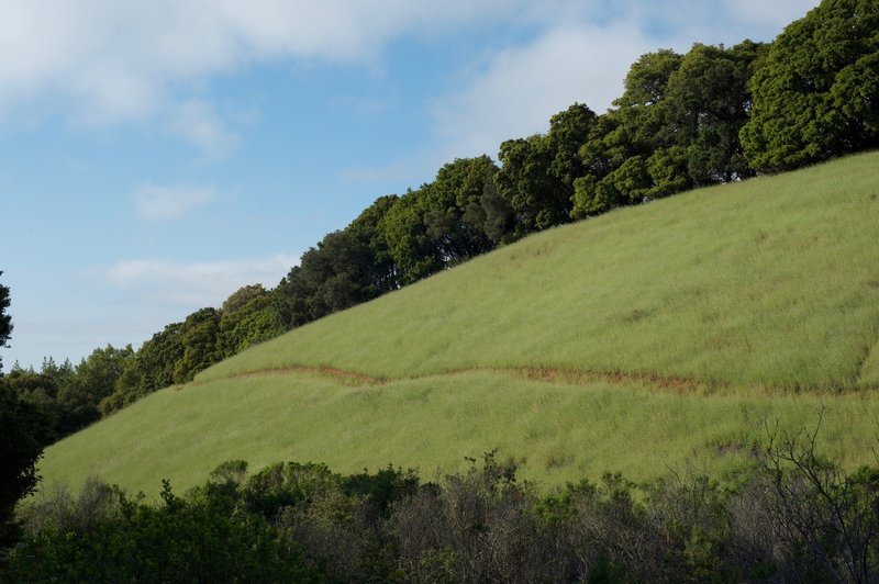 The Trail Hugs The Hillside Along A Narrow Dirt Trail