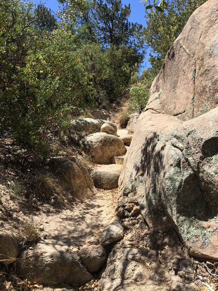 boulder trail mid wp