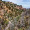 View of N Cheyenne Canyon Rd., about ~0.1 miles from the Mt. Muscoco Trailhead.