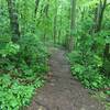 Trailhead to connect to AT.