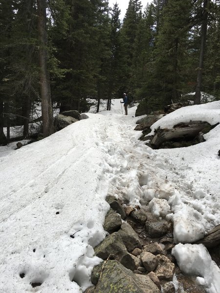On the way up to Fern Lake in May. A third of the trail past the pool was all snow. Definitely micro spikes were helpful.