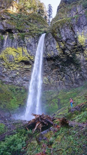 View of the 289-foot Elowah Falls waterfall on Gorge Trail #400.