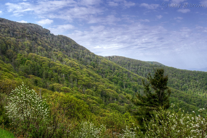 Springtime view of Stony Man Mountain from the Stony Man Overlook along the Skyline Drive.
