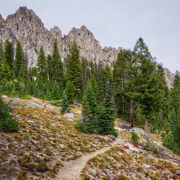 Trail to Alpine and Sawtooth Lakes.