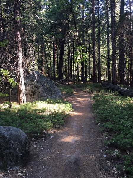 Part of the Chilnualna Trail.