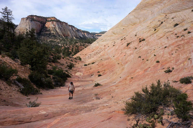 Southwest side of Checkerboard Mesa, Zion National Park.