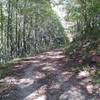 Trail in Fontana Dam, NC. It's part of the Writers Who Run 10k Trail Race on August 7.