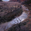 Virgin River, from the Emerald Pools Trail, Zion National Park