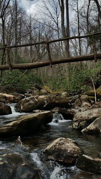 The trail comes to a skinny log bridge.