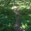 Osprey Trail.