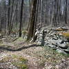 The oldest wall in Great Smoky Mountain National Park.