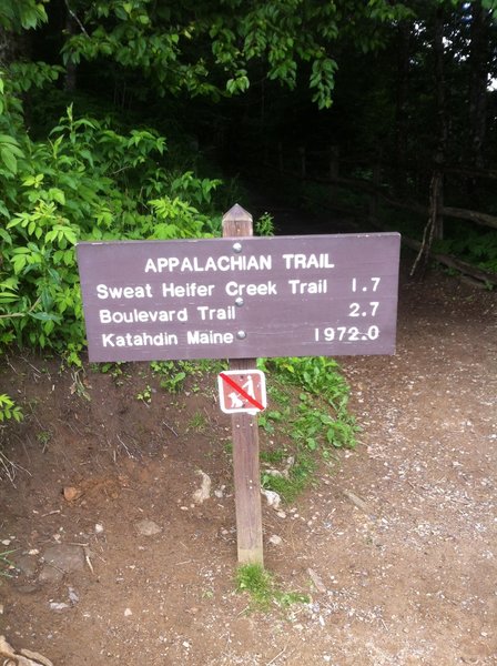 Love the Appalachian Trail.